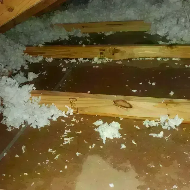 Attic Water Damage in Wood County, OH