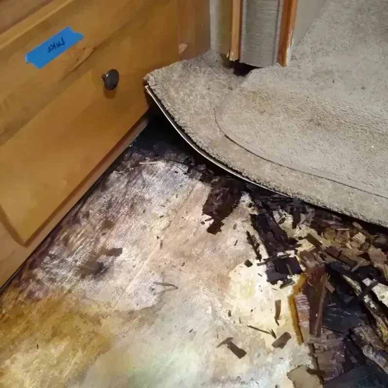 Wood Floor Water Damage in Wood County, OH